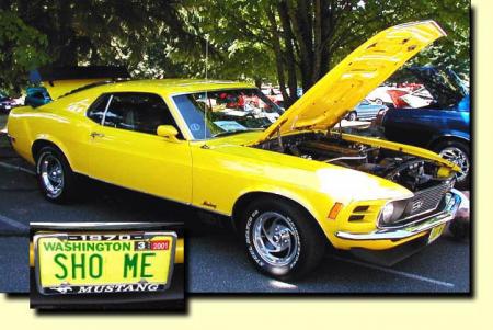 MUSTANG